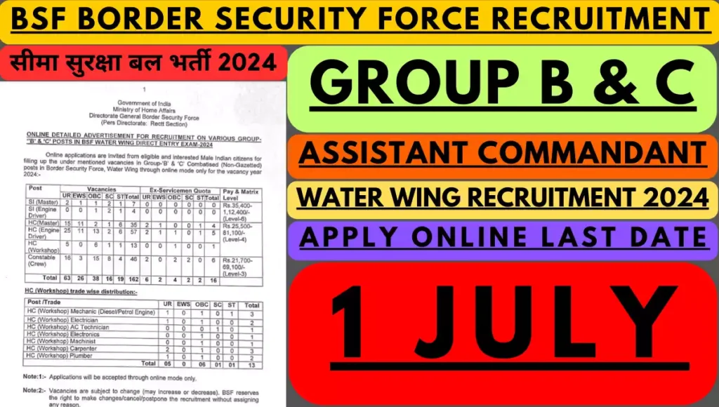 bsf water wing